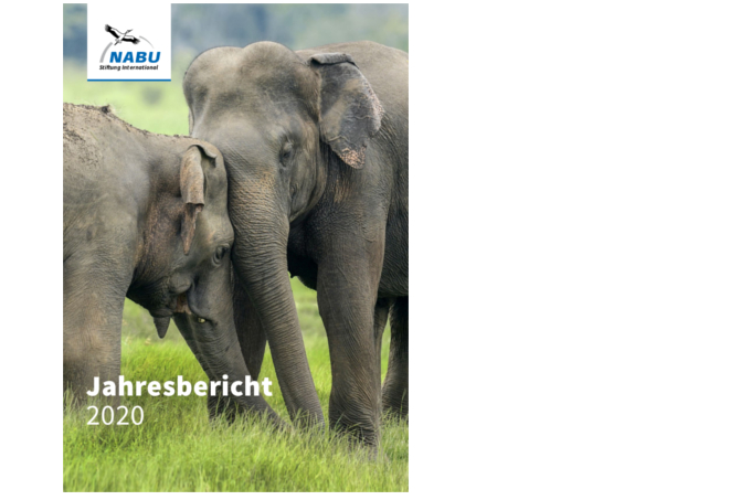 Titelblatt des Jahresberichts 2020 der NABU International Naturschutzstiftung mit zwei Elefanten