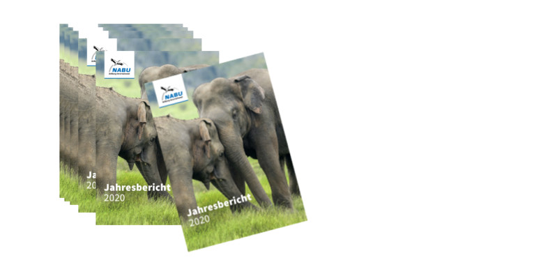 Jahresbericht 2020 der NABU International Naturschutzstiftung