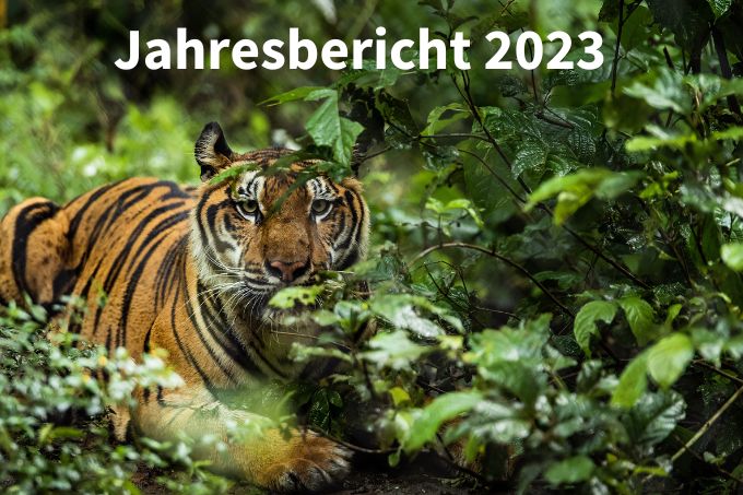 Überblick über die Arbeit der NABU International Naturschutzstiftung im Jahr 2023