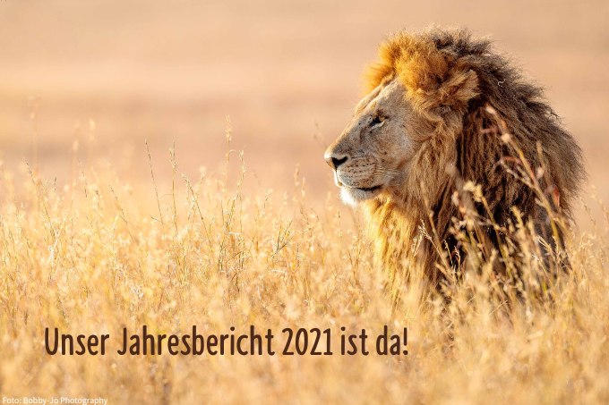 Löwenfoto und Schriftzug: Unser Jahresbericht 2021 ist da!