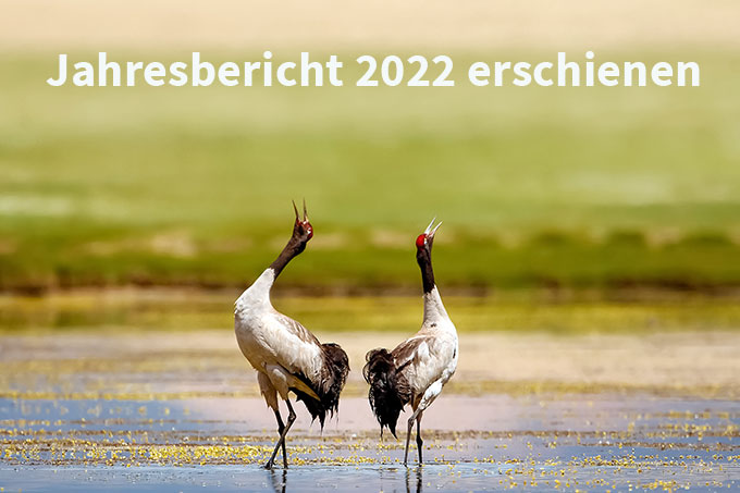 Überblick über die Arbeit der NABU International Naturschutzstiftung im Jahr 2022