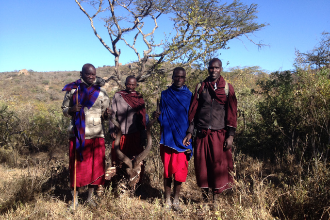 Fast 100.000 Massai leben im Umland und bestreiten ihren Lebensunterhalt durch Viehzucht. Hungrige Löwen vergrei¬fen sich immer wieder an Nutztieren, was zu erbitterten Konflikten und Löwentötungen führt. - Foto: Ingela Jansson