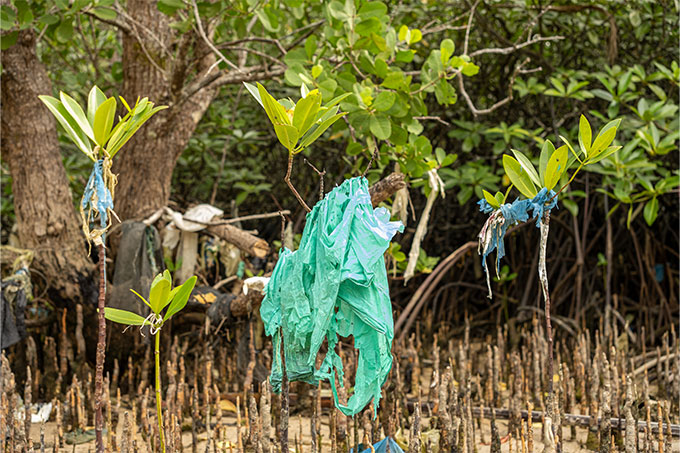 Ein innovatives Projekt zur Eindämmung der wachsenden Plastikflut in Tansania