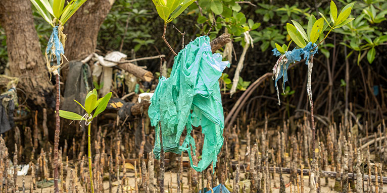 Plastikmüll bleibt in den Mangroven hängen und verdeutlicht die schädlichen Auswirkungen der Umweltverschmutzung auf fragile Ökosysteme. - Foto: AdobeStock/InveStock