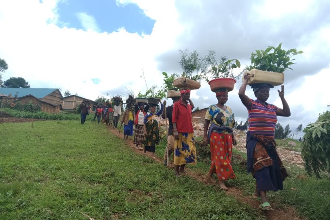 Über 20.000 neue Bäume zum Erhalt von Ruandas Natur