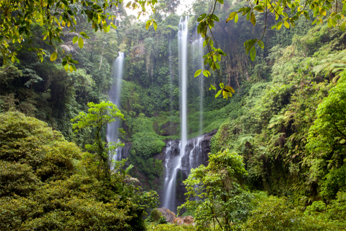 Wasserfall im Regenwald - Foto: Adobe Stock/Volker Kreinacke