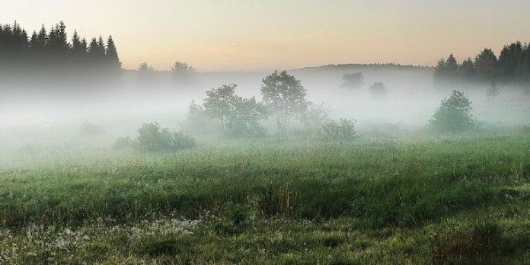 Nebel liegt über den vielfältigen Landschaften des Nationalparks „Zacharovanyj Kraj”. - Foto: USPB