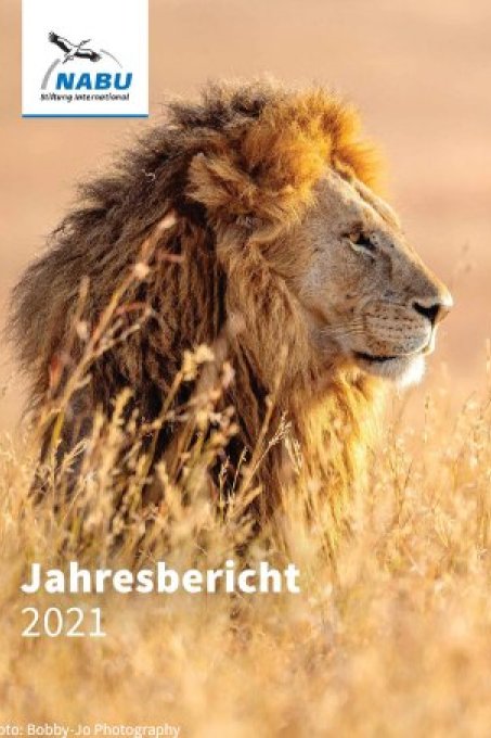 Jahresbericht 2021 mit Löwe auf dem Cover