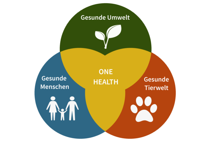 Graphik zur Beschreibung des One-Health-Ansatzes (Gesunde Menschen + Gesunde Umwelt + Gesunde Tierwelt = One Health)